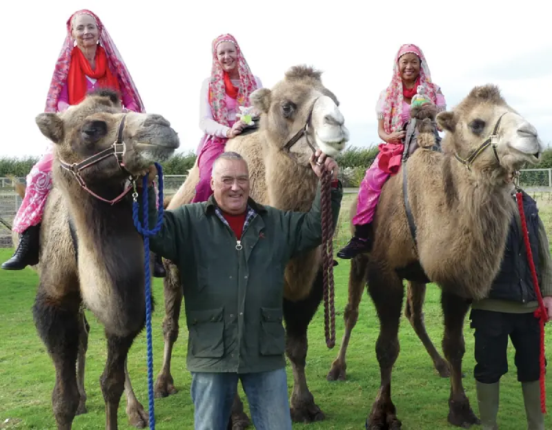Camel Park