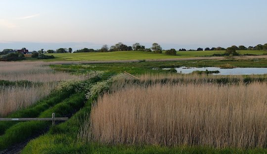 Exploring Birdwatching Near Gamekeepers Cottage in Suffolk