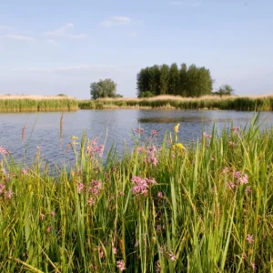 1015894-Places-Minsmere-veiw-of-lake